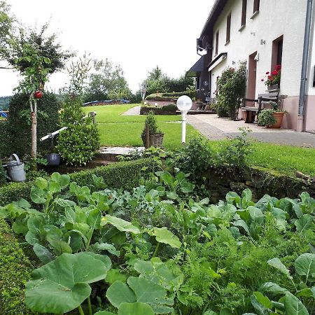 Ferienwohnung Hügelhaus Plütscheid Exterior foto